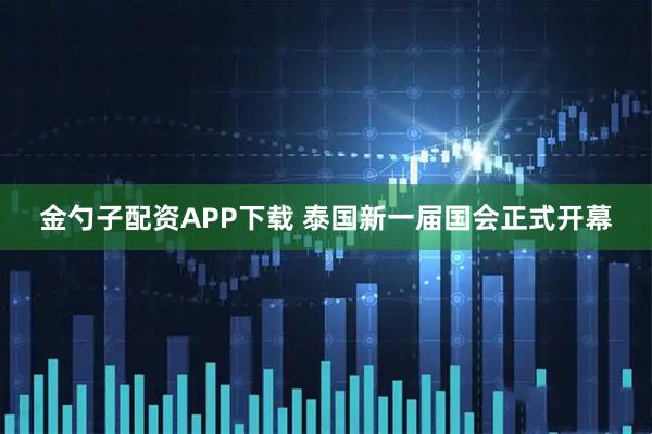 金勺子配资APP下载 泰国新一届国会正式开幕