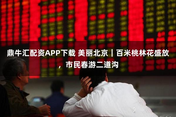 鼎牛汇配资APP下载 美丽北京｜百米桃林花盛放，市民春游二道沟