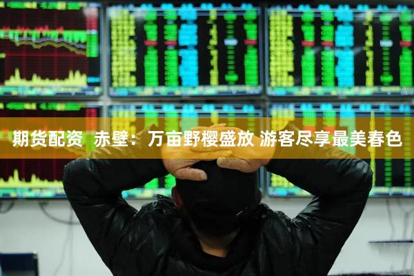 期货配资  赤壁：万亩野樱盛放 游客尽享最美春色